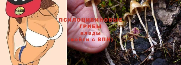 эйфоретик Весьегонск
