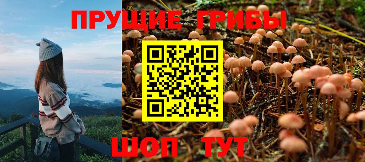 Баксан  Галлюциногенные грибы ЛСД  Вход с VPN 